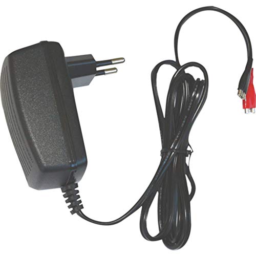 DSK 6876 bc-6500 – 6 V-Ladegerät für Akku Blei Auto, Schwarz