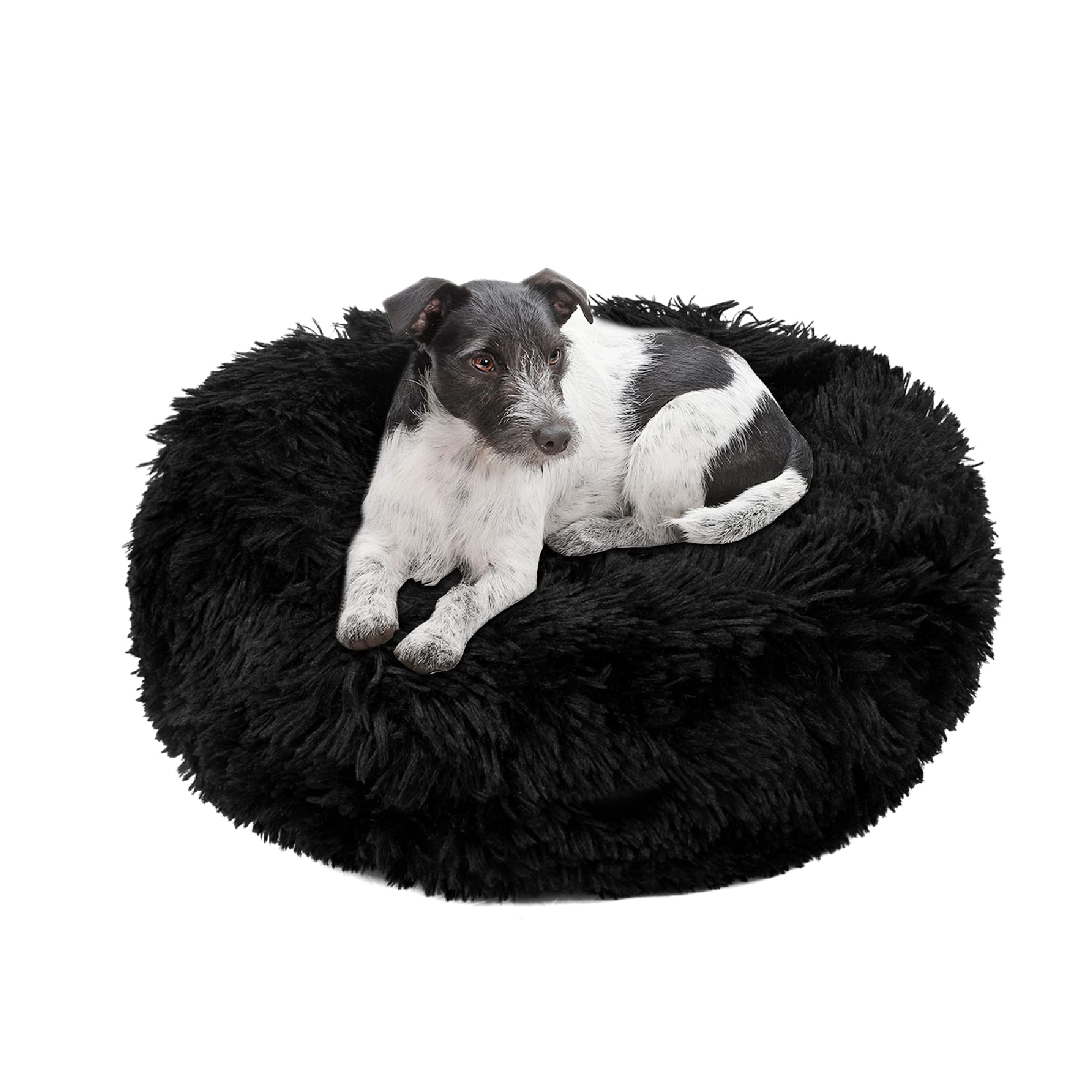 wuuhoo® Hundebett Fluffy 50cm Donut für kleine und mittelgroße Hunde - weiches Haustierbett, waschbares Hundekörbchen für Hund oder Katze, Flauschiger Hundekorb schwarz