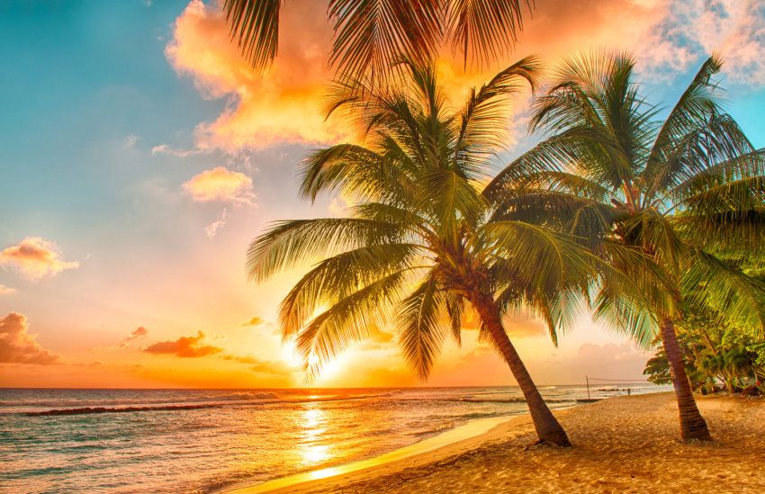 papermoon Vlies- Fototapete Digitaldruck 250 x 180 cm Barbados Palm Beach
