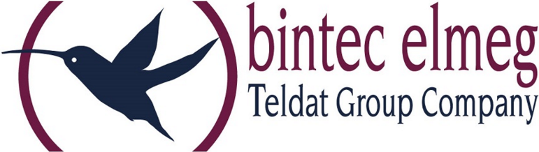 Teldat BinTec - Lizenz (zusätzliche Lizenz) - 25 PPTP Tunnel - für BinTec RXL12100, RXL12500 (5500001203)
