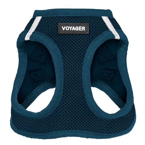 Best Pet Supplies Voyager Step-In Air Hundegeschirr – Allwetter Mesh Step In Weste Geschirr für kleine und mittelgroße Hunde – Blau (passender Rand), XXXS