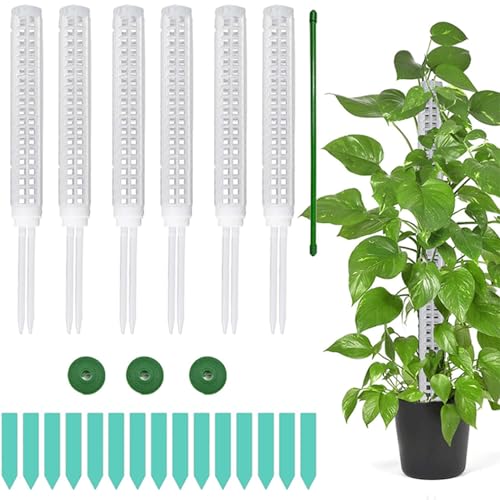 Aoguaro 4 Stück 25cm Monstera Rankhilfe Zimmerpflanze Kunststoff, Moosstab Pflanzstab Monstera Stab Pflanzenstab Monstera, Pflanzstab Plastik Pflanzenstütze für Kletterpflanzen Zimmerpflanzen