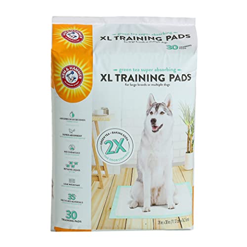 Arm & Hammer Green Tea Pet Trainingspads | 30 Karat Hundetrainingspads mit super saugfähigem Grüntee-Backpulver für 2 x Geruchskontrolle, auslaufsichere und recycelte Trainingspads, XL