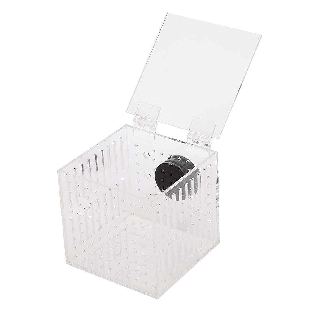 Qinlorgon Wasserloch-Design Magnetische Fischisolationsbox, starker, haltbarer Fischinkubator-Käfig, Fischbrutstätte für Babys