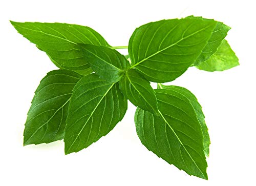 Refill 3er Pack für Click & Grow Smart Herb Garden Thai Basil