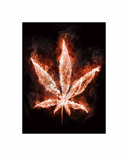 Leinwanddruck, Motiv Marihuana-Blatt, Flammen, Feuer Weed, cool hell