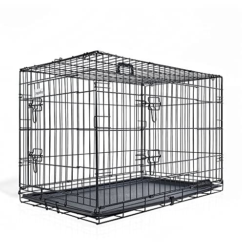 zooprinz Faltbare Hundebox aus stabilem Eisen – Hundekäfig mit 2 Türen – inklusive Bodenschale für deinen Hund – mit Transportgriff – in 4 Größen verfügbar ((M) 76 x 49 x 54 cm)