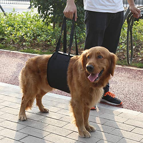 Tnfeeon Tragbares Sicherheitsgeschirr zur Unterstützung des schwarzen Hundes, Rehabilitationsgeschirr mit Hebehilfe mit Griff für Eckzähne(XL)