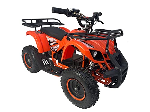 KXD M7 Elektro 6" 800 WATT 25 Km/h Quad Mini ATV Miniquad Kinderquad Kinder Enduro Pocketquad Sportquad Jugendliche Freizeitfahrzeuge Elektroquad Erwachsene Funsport orange