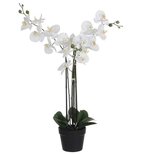 Mica Decorations Phalaenopsis - Kunstpflanze - Weiss - H79 cm