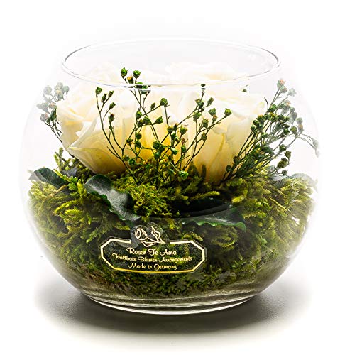 Rosen-Te-Amo Langlebiger Blumenstrauß aus 3 konservierten, weißen Blumen in der Vase; Infinity Rosen im Glas: schön handgefertigt aus 100% echtes Bindegrün - 3 Jahre haltbar ohne Wasser