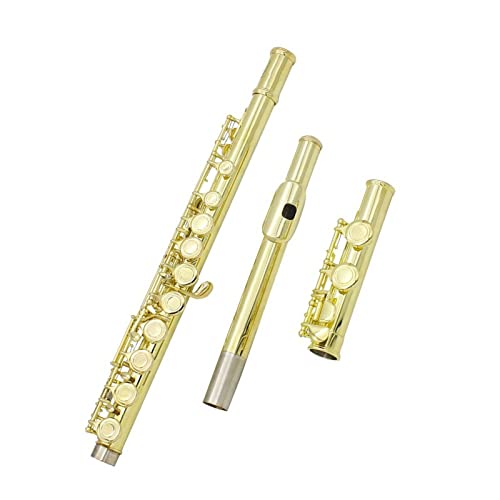 PECY Golden Flute Leather Box Set 16 Closed Opening C Flute Instrument Horizontal Use E Key Box Cleaning Set Querflöten