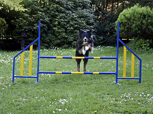 Procyon Agility Hürde für Hunde Profi-Training-Set FCI konform Hürden Hundeport