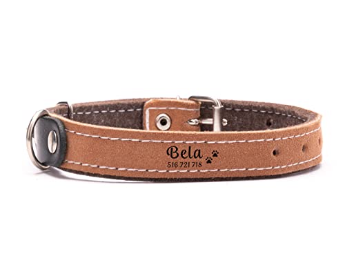 Petsen Personalisierte Hundehalsband Leder | Halsband Hund mit Name | Hunde Halsbänder für Kleine und Große | Dog Collar Farbe: Braun Große: M