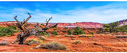 AWERT Terrarium-Hintergrund Blauer Himmel Berg Oase Wüste Sonne und Gobi Reptilien Habitat Hintergrund 121,9 x 50,8 cm robuster Polyester-Hintergrund