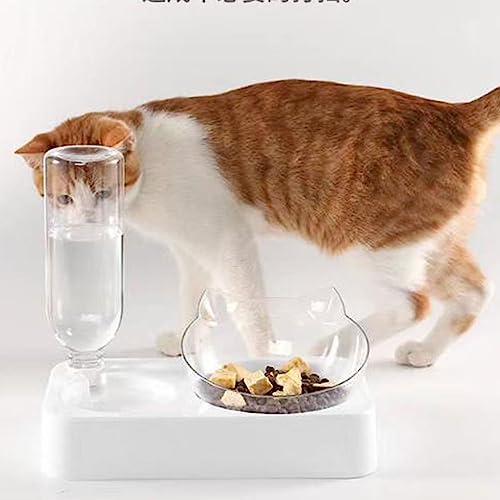 Edelstahl-Futternapf for Katzen, Leicht Zu Reinigendes Haustierzubehör Mit Automatischer Wasserversorgungsfunktion, Geeignet for Kleine Und Mittelgroße Hunde Und Katzen (Color : D)