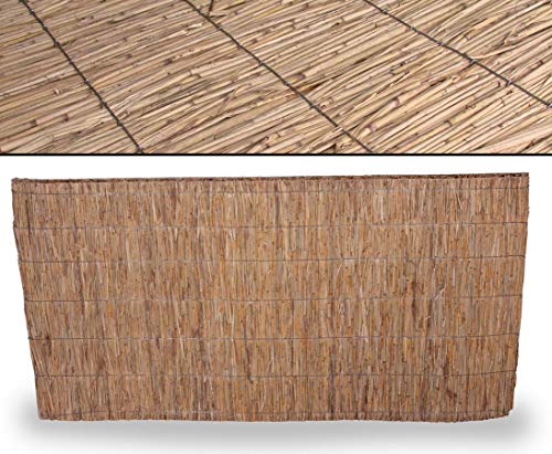 bambus-discount.com Schilfrohrplatte Usedom 100 x 200cm mit 2,5cm - mit den blickdichten und biegbaren Schilfrohrplatten 2x1m kann Man praktische Wind- und Sichtschutzäune Bauen