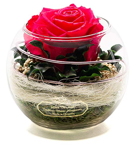 Rosen-Te-Amo - Konservierte Premium pink Rose in Kugel Vase - Blumenstrauß im Glas mit Liebe handgefertigt aus 100% echte Deko-Pflanzen; Infinity Deko-Blumen: 3 Jahre haltbar ohne Wasser