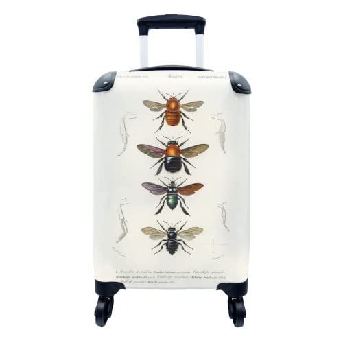 Koffer - 35x55 cm - Bienen - Jahrgang - Insekten