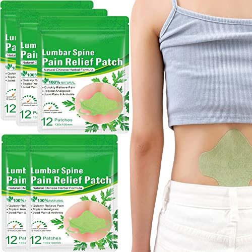 Flexiknee Natural Knee Pain Patch, Knee Pain Relief Patches, Arthritis Pain Relief, Knee Patches Wormwood,Relieves Muscle Soreness,Deep Heat Patches in Knee,Neck,Shoulder,Back (Lumbar Patch,60Pcs)