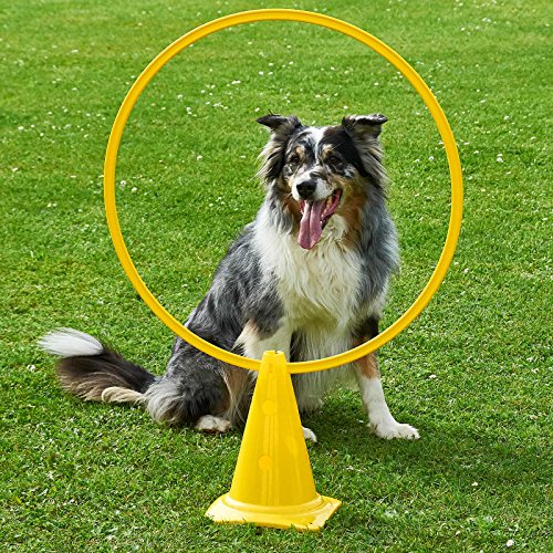 Kombi-Kegel 30 mit Kombi-Ring 70 cm, in 4 Farben, für Agility - Hundetraining (gelb)