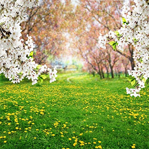 YongFoto 2x2m Foto Hintergrund Frühling Landschaft Grünes Gras Baum Weiße Blume Wiese Gänseblümchen Sommer Natur Fotografie Hintergrund Fotoshooting Portrait Party Kinder Hochzeit Fotostudio