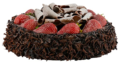 Naturgetreue Lebensmittel Attrappe – Künstliche Tortenartikel – Food Dummy/Plastikessen - Dekoration (Torte Schoko - 23x5 cm)
