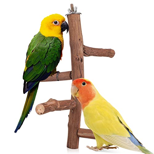 MISETA Vogelstange aus Holz: Papageienstange, stehender Stock, Vogelfederbrett, Wellensittichkäfig, mit Gemüseklammern für Papageien, Sittiche