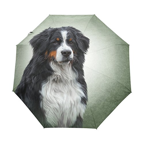 ALAZA Berner Sennenhund Vintage Reise Auto Open/Close Regenschirm mit Anti-UV-windundurchlässigen Leicht