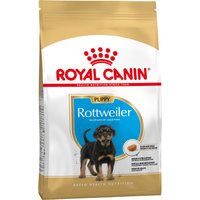 ROYAL CANIN Rottweiler 31 Junior 12 kg, 1er Pack (1 x 12 kg)