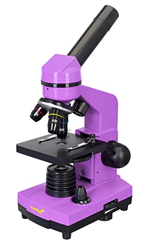 Levenhuk Rainbow 2L Amethyst Tragbares Studentenmikroskop für Kinder mit Experimentierkasten, Oberem und Unterem LED-Licht zur Beobachtung Aller Arten von Proben
