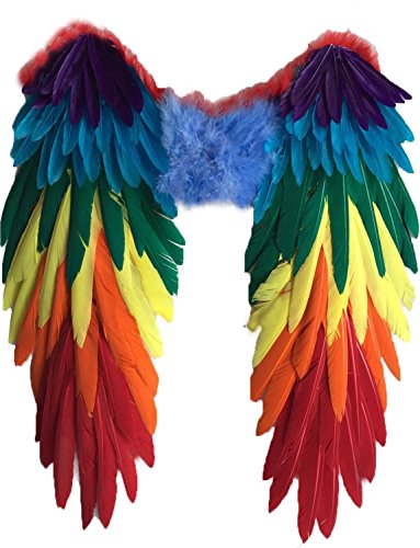 Yummy Bee - Echte Federn Vogelflügel Mehrfarbig Groß CSD Papagai Karneval Fasching Kostüm Erwachsene Größe 48cm x 50cm