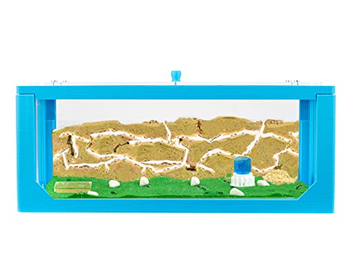 AntHouse - Natürliche Ameisenfarm aus Sand | 3D Blau Big Starter Set 30x15x10 cm | Inklusive Ameisenkolonie