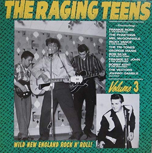 Vol.3-Raging Teens [Vinyl LP]