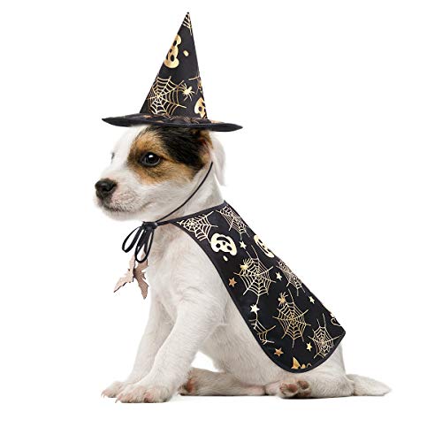 POPETPOP Halloween-Kostüm, Umhang mit Zaubererhut für Hunde und Katzen, S, Siehe Abbildung