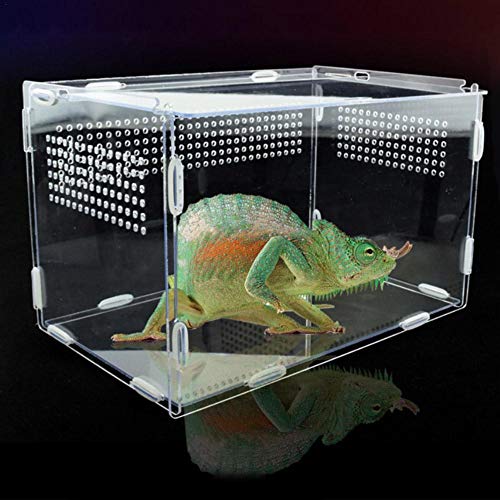 ZQYX Reptile Clear Terrarium Habitat, Acryl-Vollansichts-Fütterungsbox, tragbare Reptilien-Zuchtbox mit kleinen Luftlöchern für Insekten-Spinnen-Eidechsen-Frosch-Cricket-Schildkröten-Schnecken-Raupen