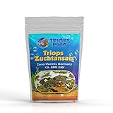 Triops Cancriformis Germany Zuchtansatz 300 Eier