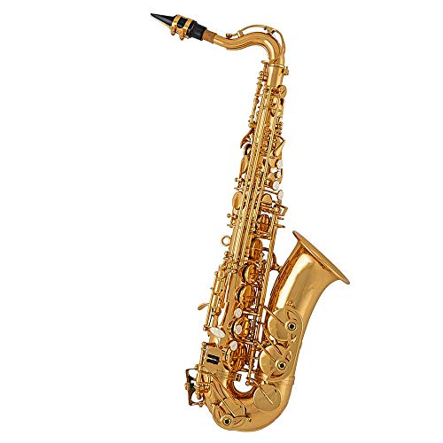 As Arnolds & Sons Alt Saxophon AAS-110K (Saxophon für Kinder)
