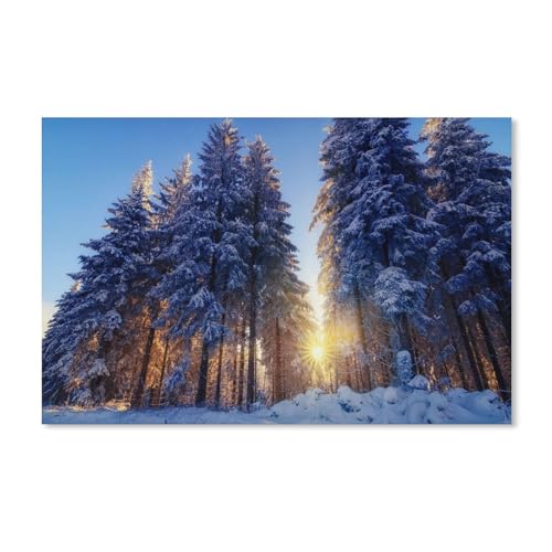 Winter, Schnee, Wald, Bäume, Sonnenstrahlen，Puzzles, 1000-teiliges Puzzle Für Erwachsene Und Kinder Ab 10 Jahren（75x50cm）-A280