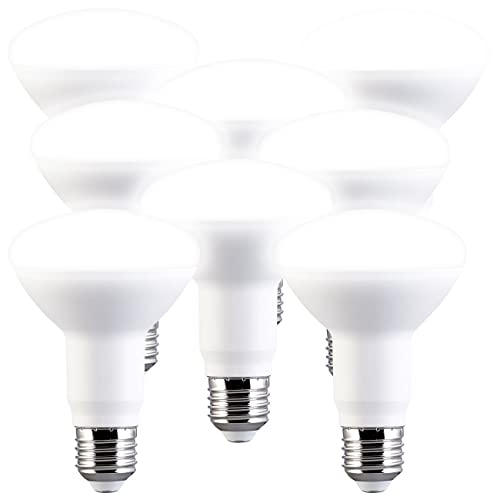 Luminea Reflektor Glühbirne E27: 8er-Set LED-Reflektor R80, E27 11W (ersetzt 100W) 950lm tageslichtweiß (LED-Lampe E27 tageslichtweiss)