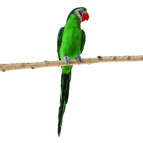 Deko Papagei 66 cm grün mit echtem Federkleid Deko-Papagei Vogeldekoration Tropical-Party Dekoration