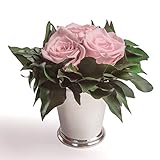Rosendeko Blumengesteck 2-3 Jahre haltbar Silberbecher 3 Rosa Rosen und Efeubättern - Abmessungen: 12x15cm