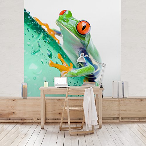 Apalis Kindertapeten Vliestapeten Frog Fototapete Quadrat | Vlies Tapete Wandtapete Wandbild Foto 3D Fototapete für Schlafzimmer Wohnzimmer Küche | Größe: 192x192 cm, grün, 97681