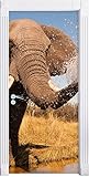 Stil.Zeit Möbel schöner Elefant spritzt mit Wasser als Türtapete, Format: 200x90cm, Türbild, Türaufkleber, Tür Deko, Türsticker
