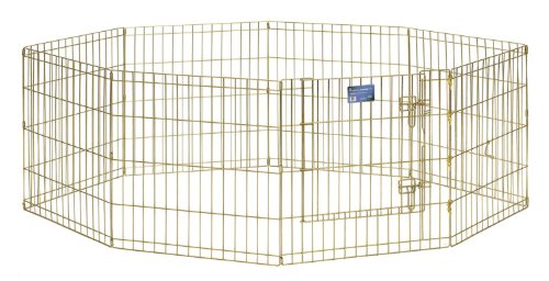 MidWest Homes for Pets Midwest Exercise Pen mit Tür, 60,96 cm, Gold