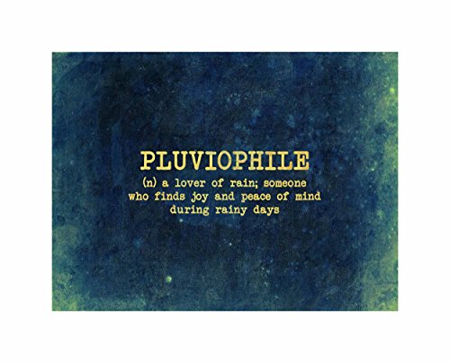 Pluviophile Love Rain Zitat Motivation Typografie blau Kunst Leinwanddruck