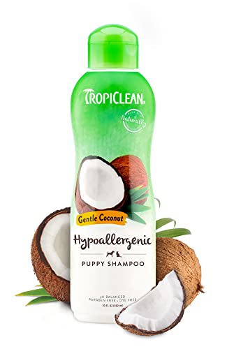 TropiClean Shampoo für Haustiere - Hypoallergen - Reinigt Sanft, Spendet Feuchtigkeit für Empfindliche Haut und Fell I Für Hunde & Katzen I Paraben-, Farb- und Seifenfrei - Sanfte Kokosnuss, 592 ml