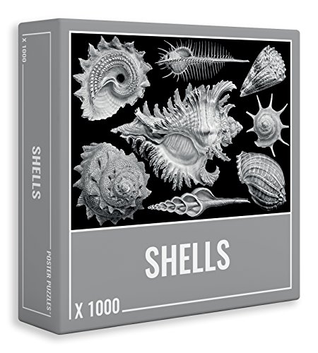 Cloudberries Schwierige Puzzles - Cooles Premium 1000 Teile Puzzle für Erwachsene! (Shells)