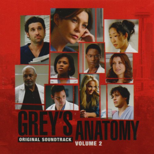 Grey's Anatomy Vol 2