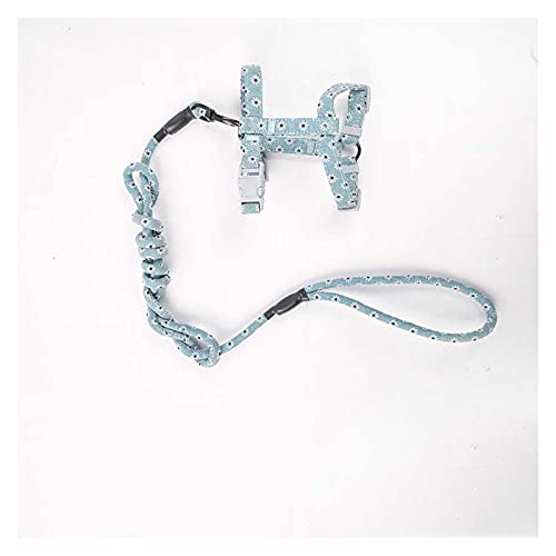 Dog Leash/Hundeleinen Doppelte Hundeleine-Dual-Haustiereleine mit weicher, gepolstertem Seilgriff, Drehhaken. Einstellbare Länge for kleine oder große Hunde. Hunde Leine